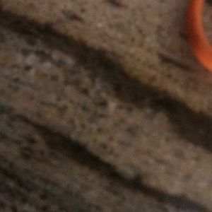 Meet your Posher, Emmanuel